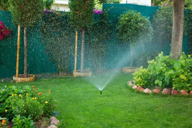 Affordable residential landscaping for year-round maintenance in Hesperia, CA by Hillside Landscaping & Irrigation