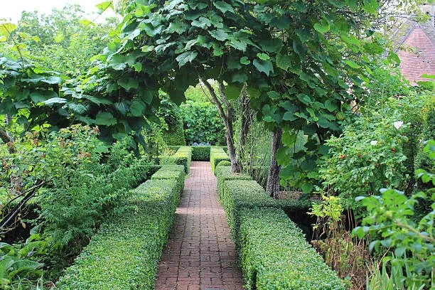 Custom residential landscaping in Hesperia, CA by Hillside Landscaping & Irrigation