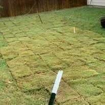 Top-rated residential landscaping in San Antonio, TX by Hillside Lawn & Landscapes