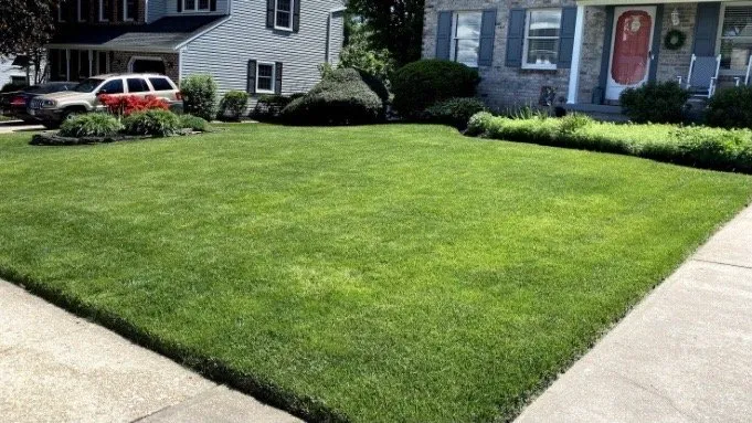Professional residential landscaping for beautiful yards across Churchville, MD - Hillside Lawn Service