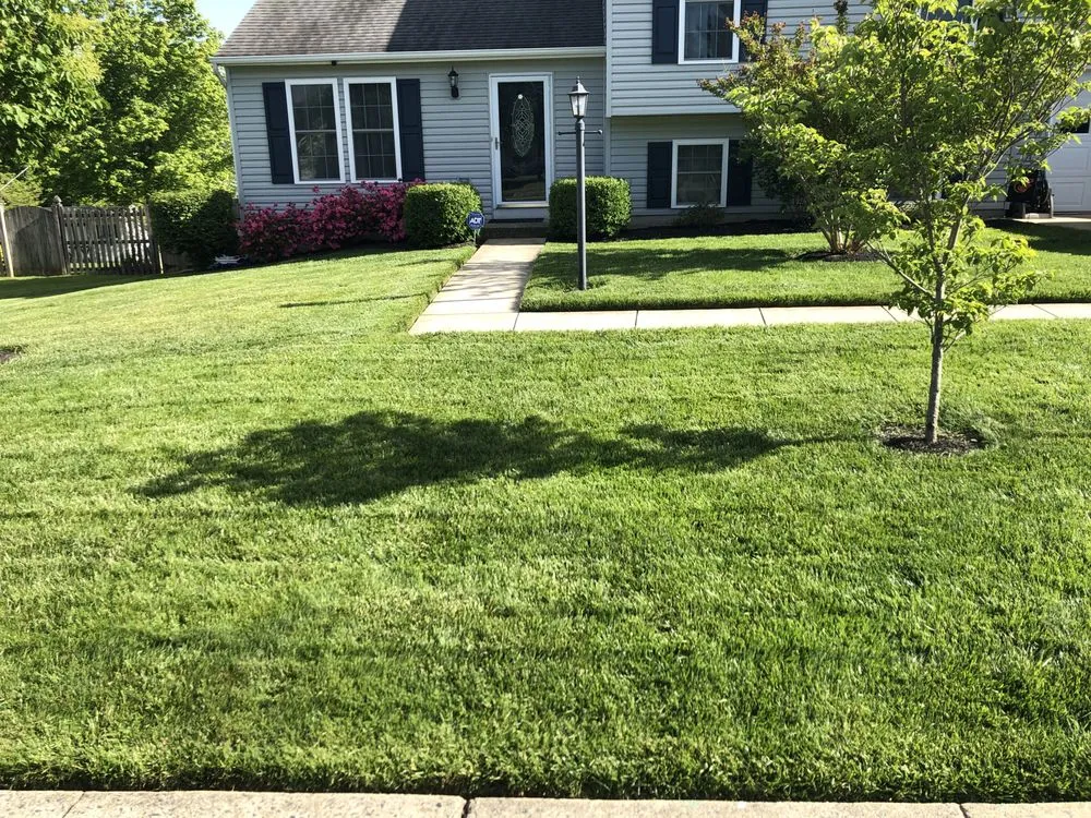 Reliable yard cleanup service in Churchville, MD - Hillside Lawn Service