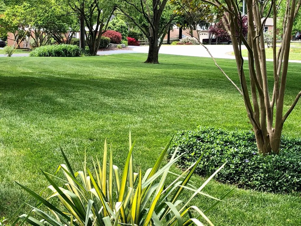 Reliable lawn care service experts serving Churchville, MD - Hillside Lawn Service