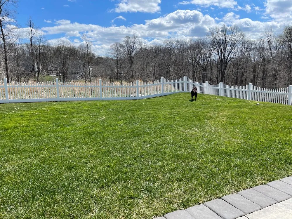 Reliable yard cleanup service in Churchville, MD - Hillside Lawn Service