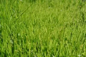Professional lawn mowing service for residential properties in Churchville, MD by Hillside Lawn Service