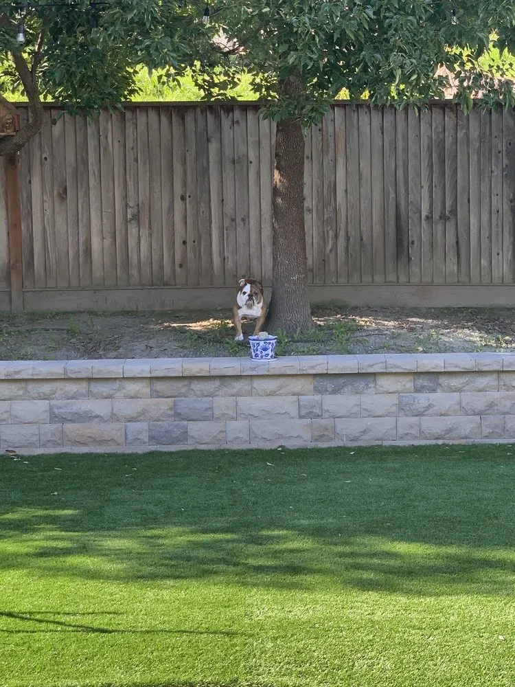 Custom lawn mowing service with custom design in Petaluma, CA by Hillside Nursery & Landscaping