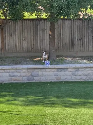 Hillside Nursery & Landscaping Logo