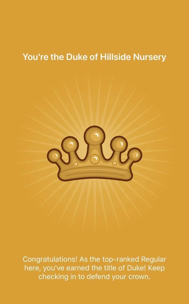 Reliable yard cleanup service in Georgetown, TX by Hillside Nursery