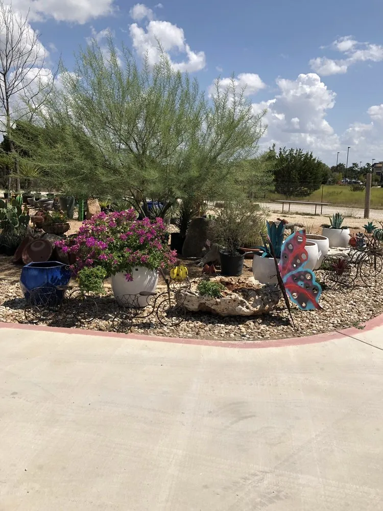 Professional lawn care service near you in Georgetown, TX by Hillside Nursery