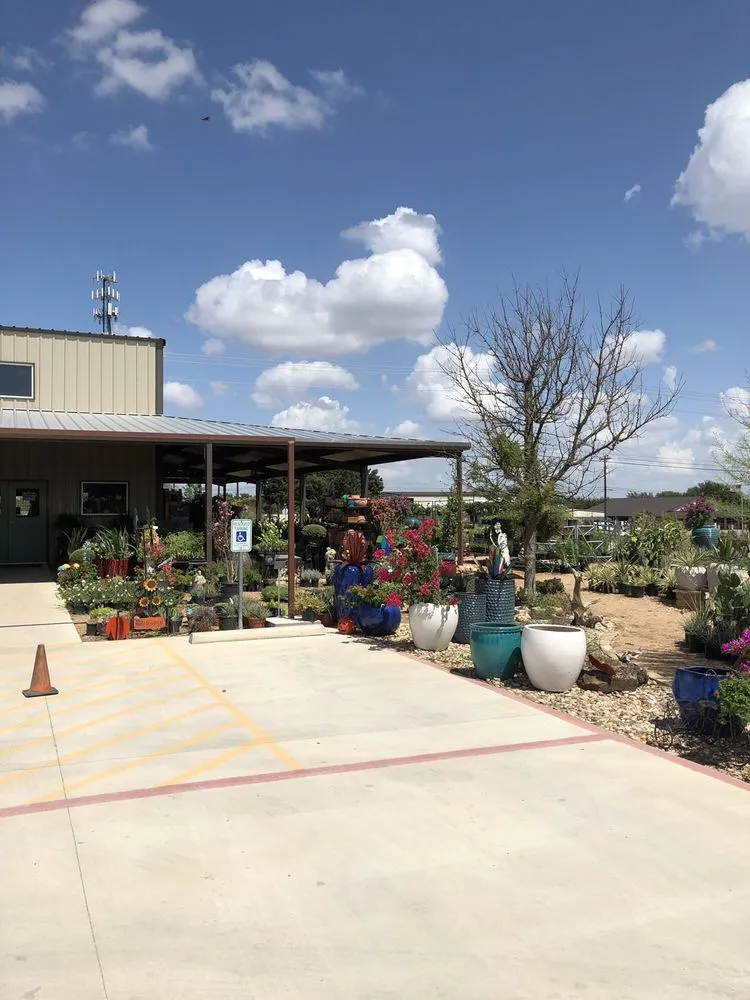Local landscaping services in Georgetown, TX - Hillside Nursery