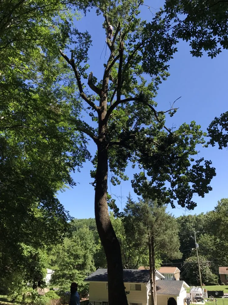 Top-rated landscape installation in Culpeper, VA by Hillside Tree and Landscaping