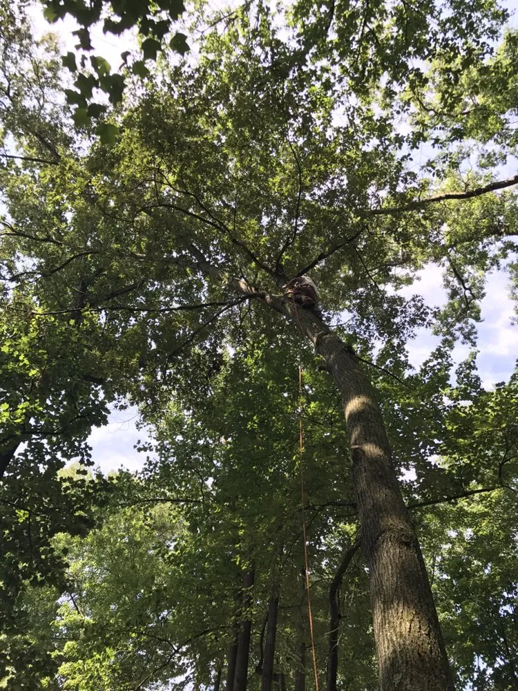 Trusted garden landscaping in Culpeper, VA by Hillside Tree and Landscaping