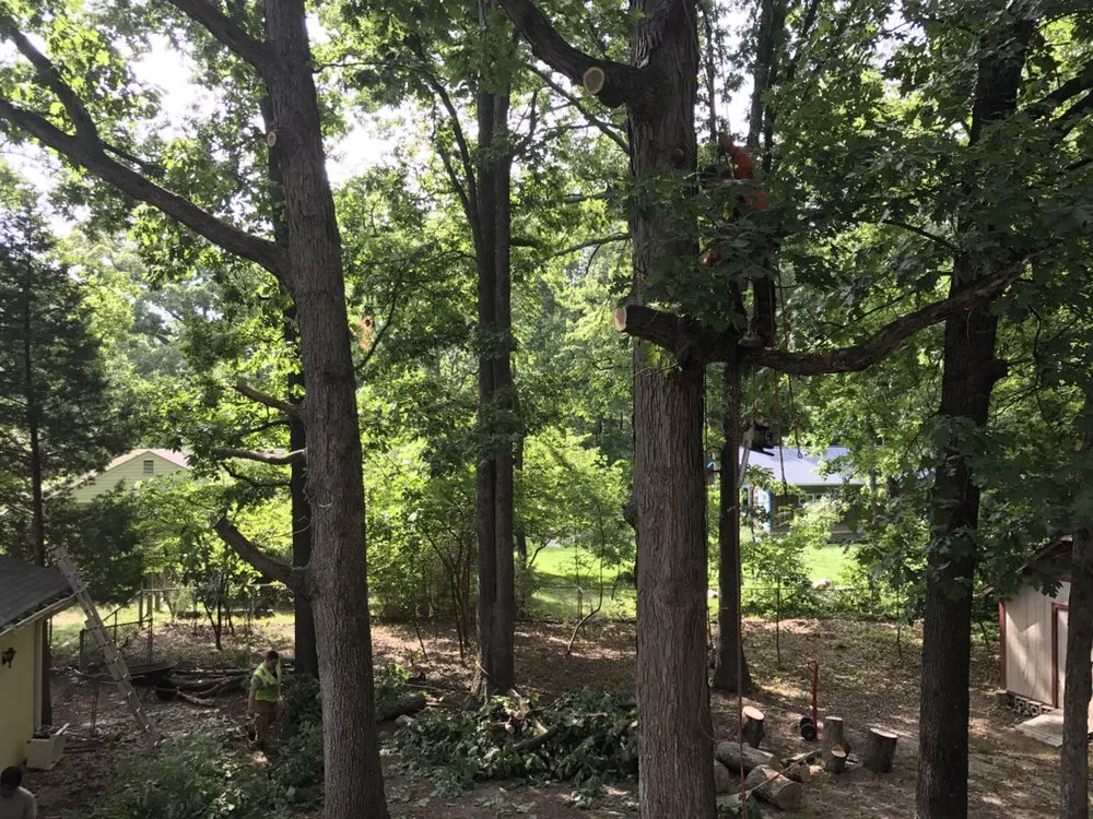 Professional outdoor landscaping in Culpeper, VA - Hillside Tree and Landscaping