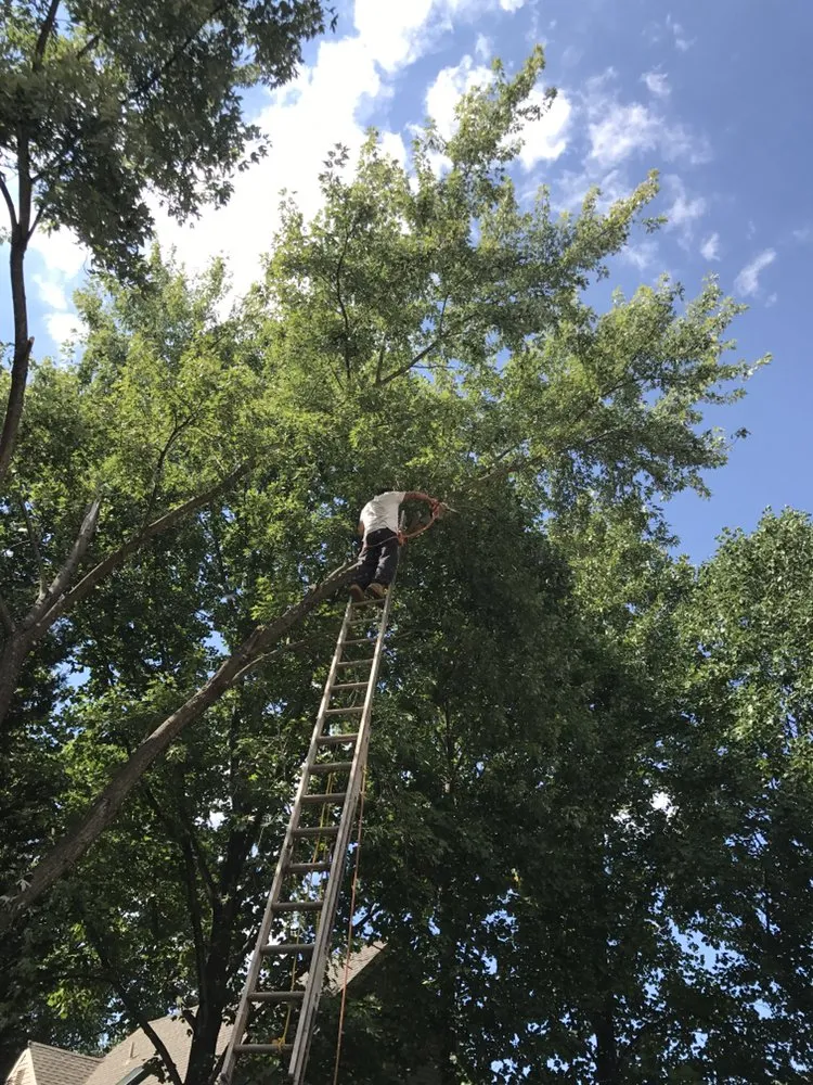 Custom landscape design in Culpeper, VA - Hillside Tree and Landscaping