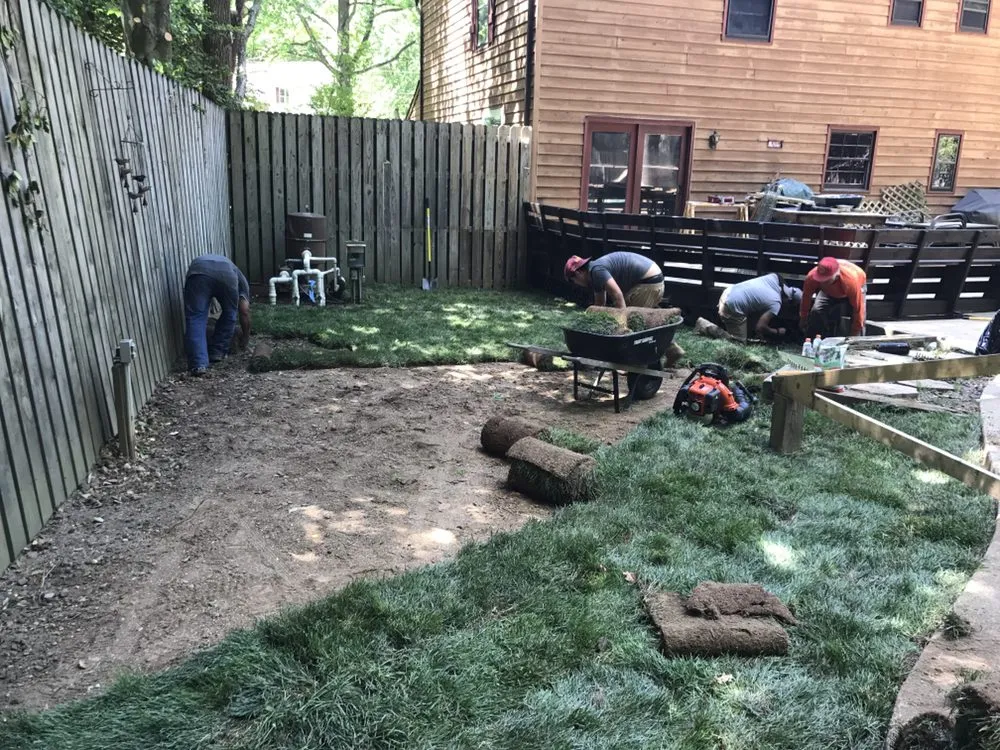 Affordable lawn care service experts serving Culpeper, VA - Hillside Tree and Landscaping