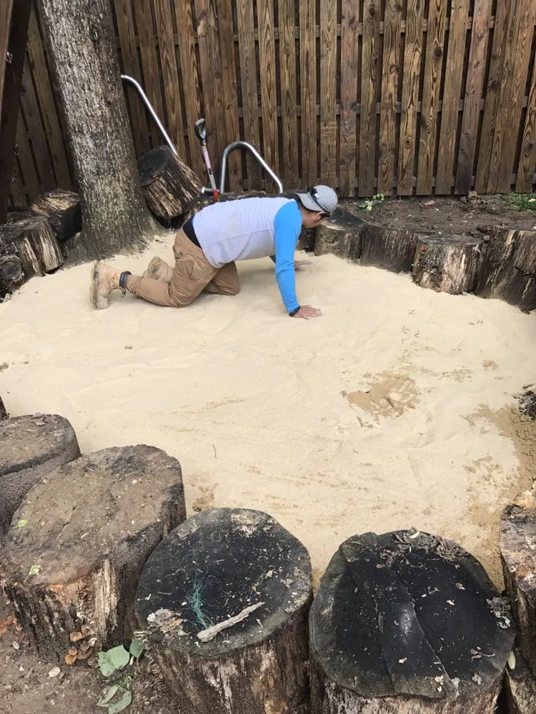 Professional landscape installation in Culpeper, VA by Hillside Tree and Landscaping