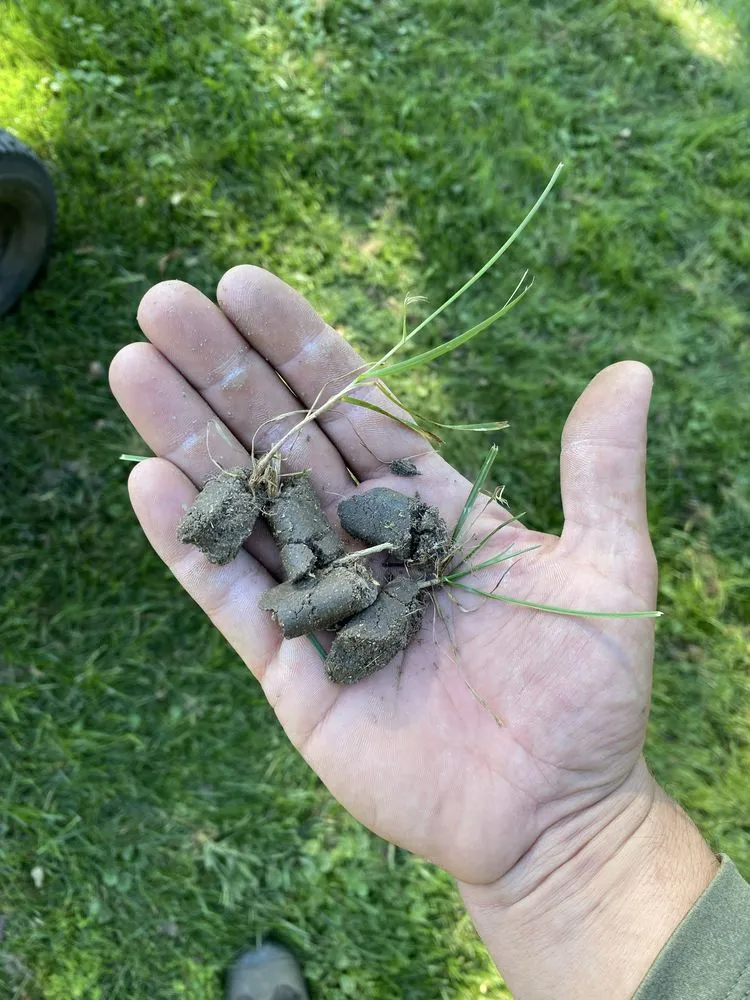 Reliable yard maintenance in Hinsdale, NH - Hilltop Helper