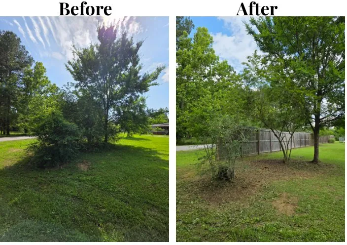 Professional lawn mowing service for outdoor upgrades in Wilburn, AR by Hilltop Landscape & Lawncare