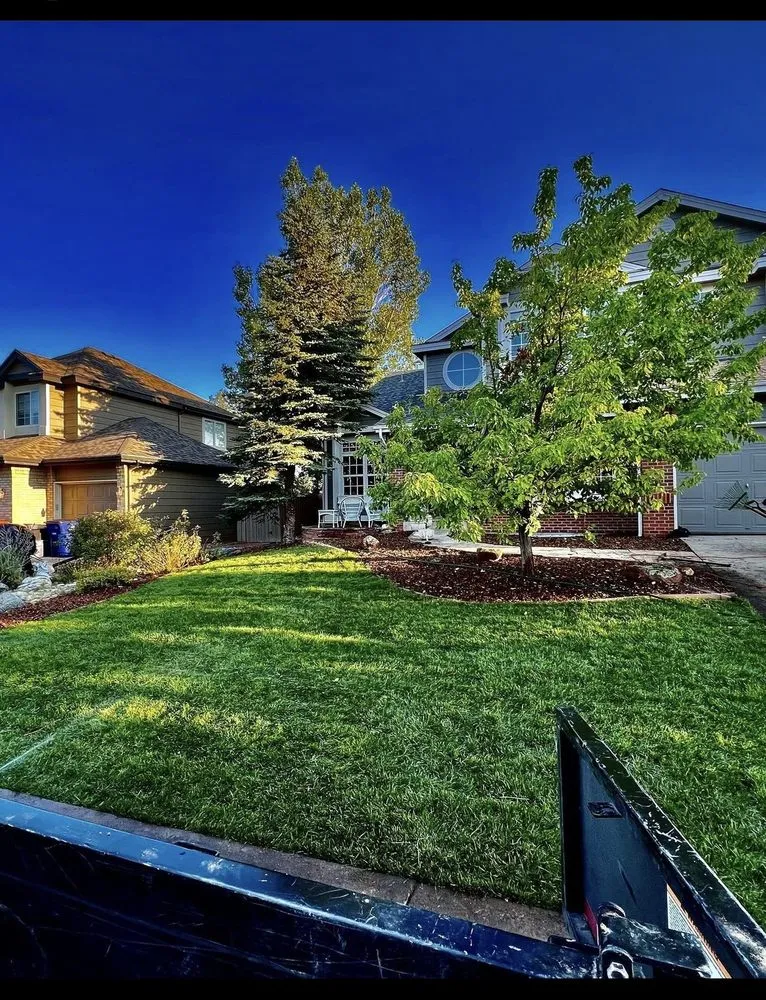 Professional yard cleanup service with custom design in Brighton, CO by Hilltop Landscaping