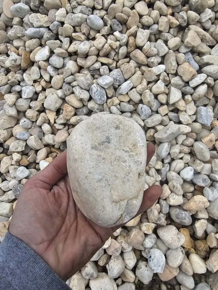 Affordable yard cleanup service in Bloomsburg, PA by Hilltop Service