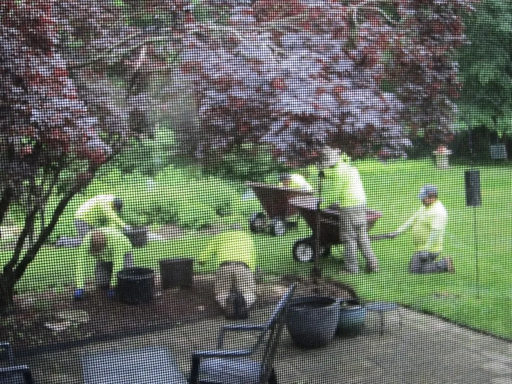 Affordable yard maintenance for beautiful yards across Orange, CT - Hilltop Turf & Landscaping