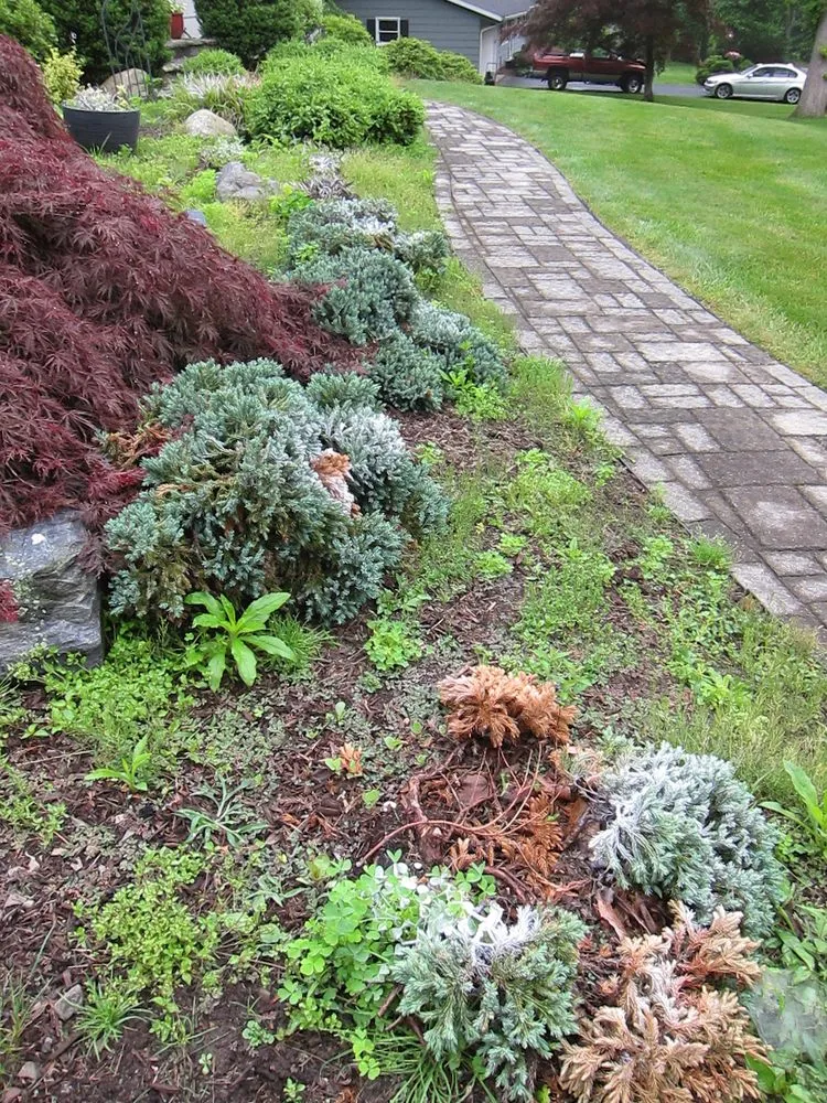 Reliable landscaping services for homes across Orange, CT - Hilltop Turf & Landscaping