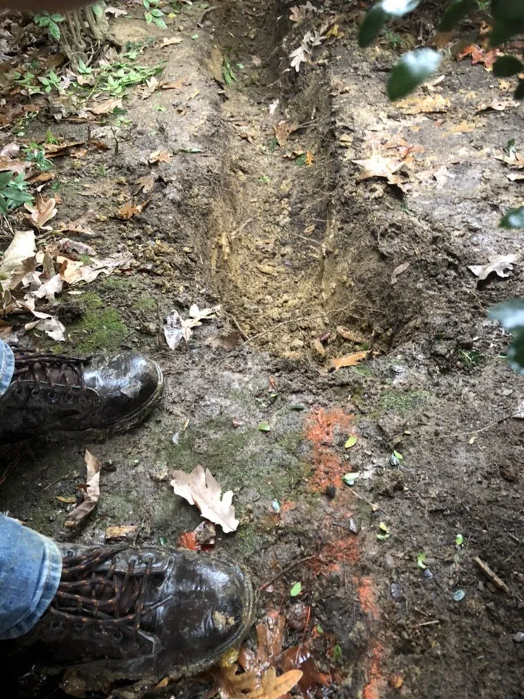 Affordable yard cleanup service in Powhatan, VA - Hilltops