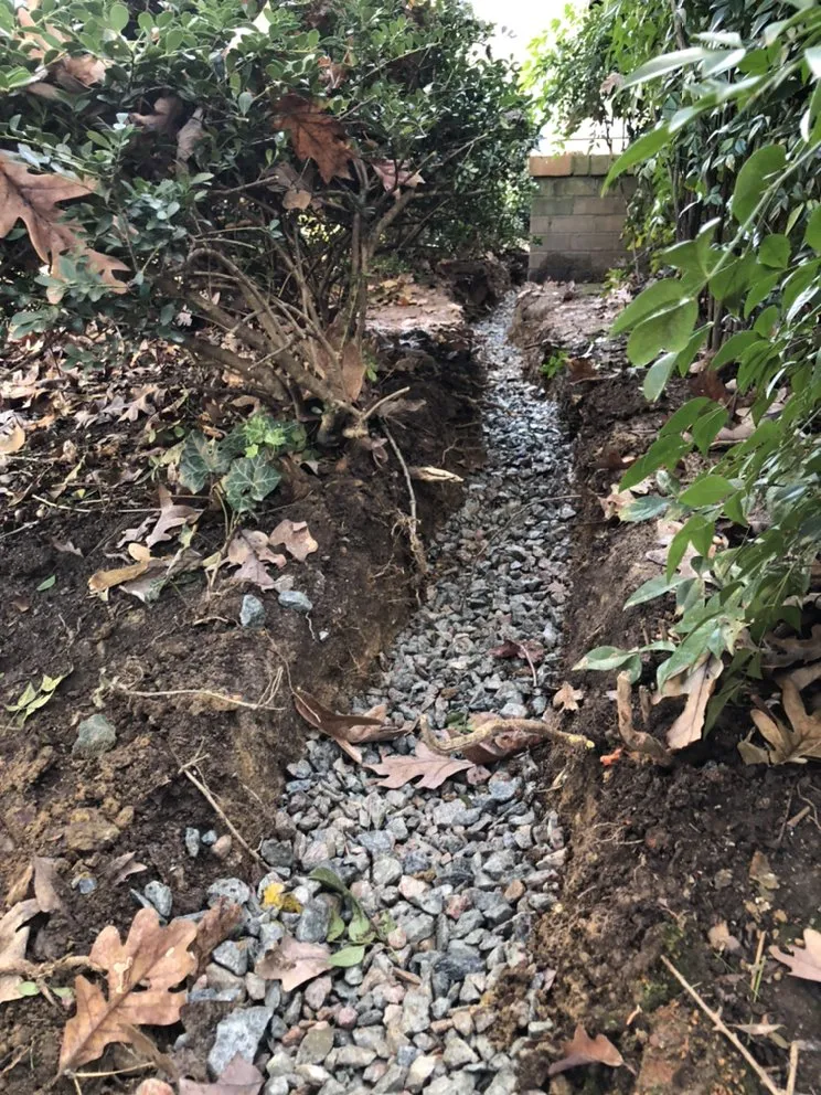 Local lawn care service experts serving Powhatan, VA - Hilltops