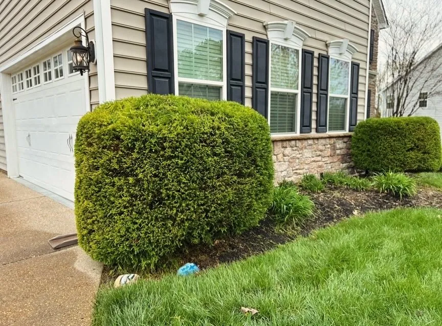Expert yard maintenance in Powhatan, VA - Hilltops