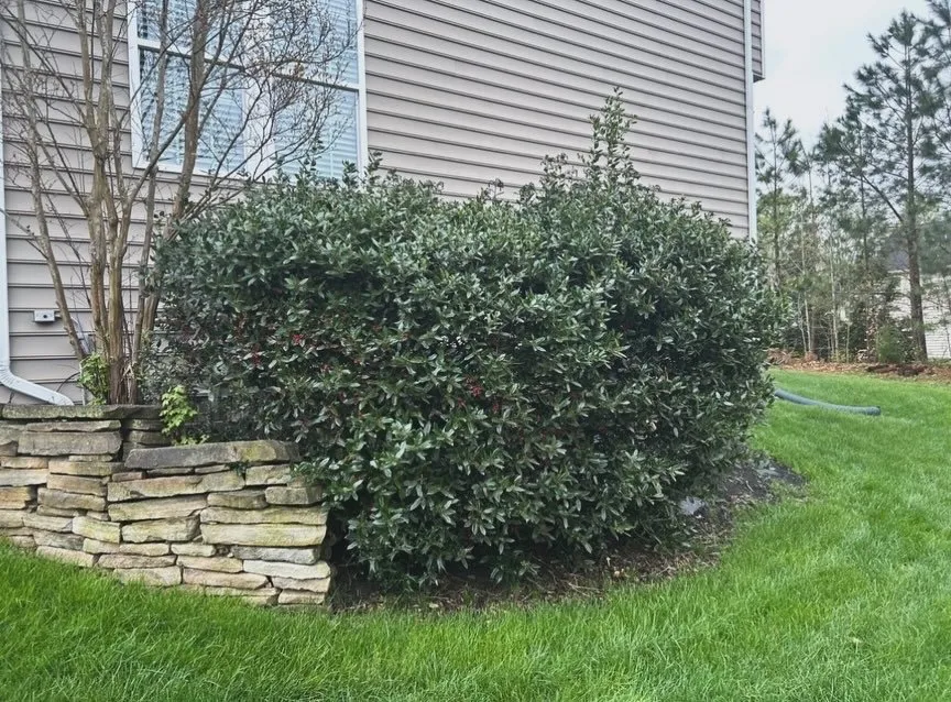 Trusted outdoor landscaping for homes across Powhatan, VA - Hilltops