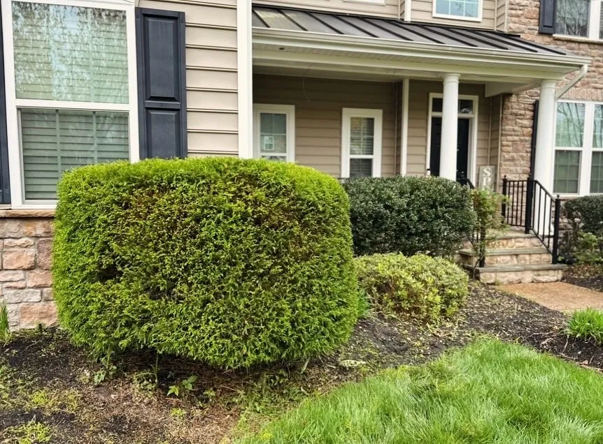 Affordable garden landscaping for homes across Powhatan, VA - Hilltops