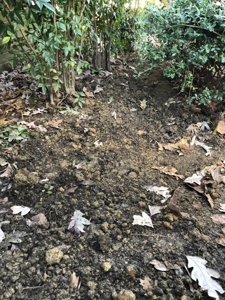 Reliable yard maintenance for beautiful yards across Powhatan, VA - Hilltops