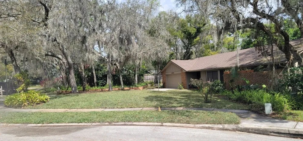 Professional lawn care service in St. Cloud, FL - Hilltopsod