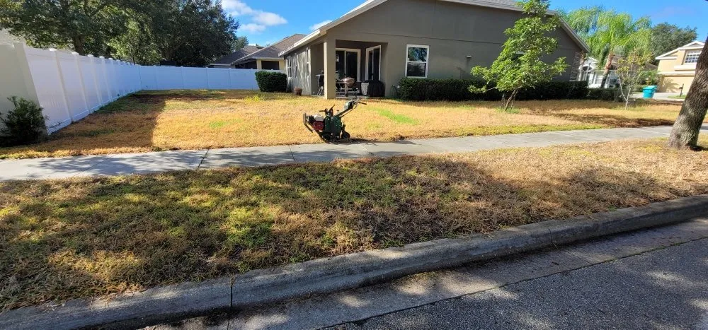 Reliable outdoor landscaping in St. Cloud, FL - Hilltopsod