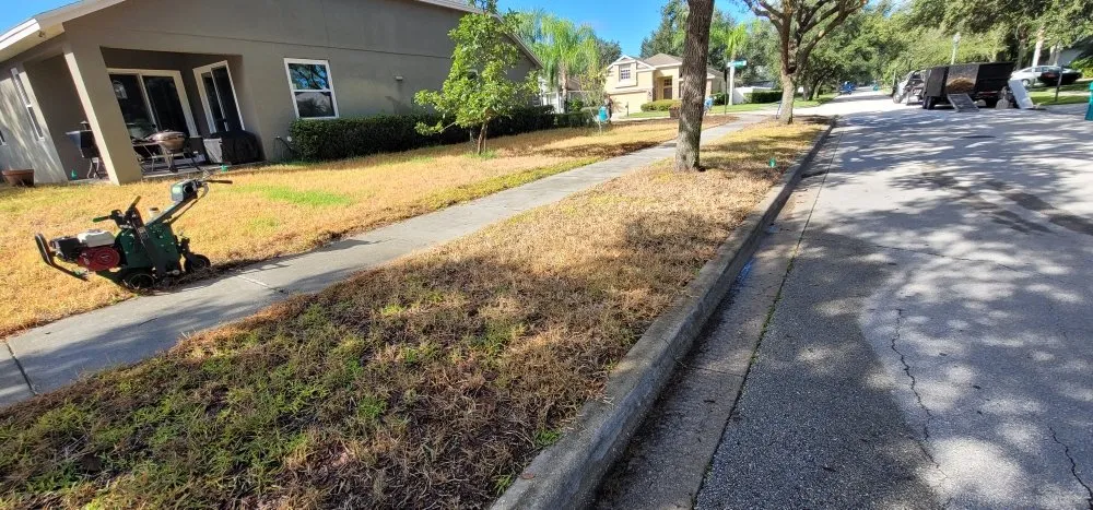 Top-rated yard cleanup service with custom design in St. Cloud, FL by Hilltopsod