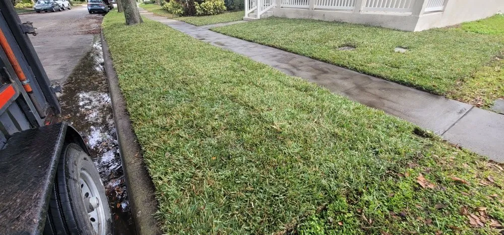 Top-rated yard cleanup service in St. Cloud, FL - Hilltopsod