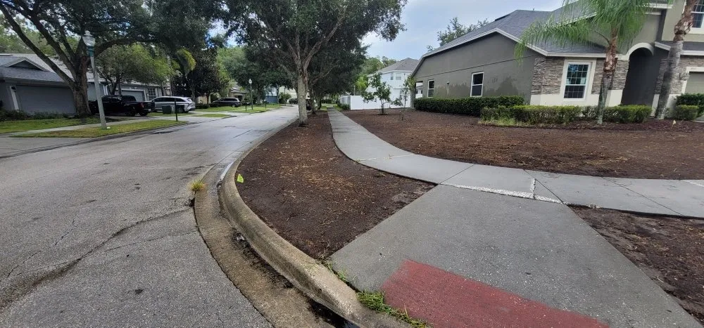 Trusted yard cleanup service in St. Cloud, FL - Hilltopsod