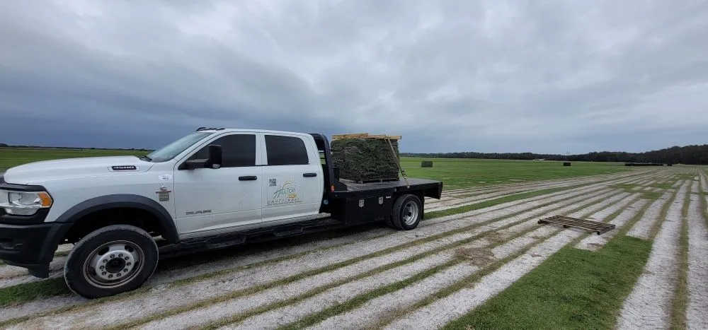 Expert landscape design in St. Cloud, FL - Hilltopsod