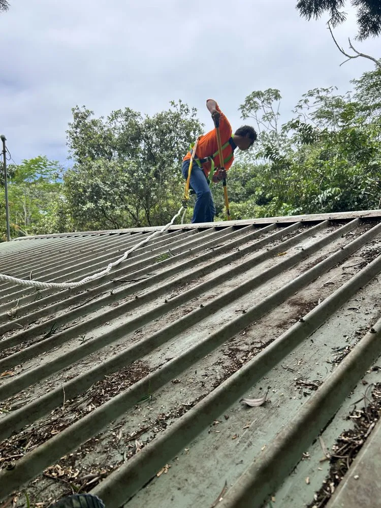 Affordable yard maintenance for homes in Hilo, HI by Hilo Helpers