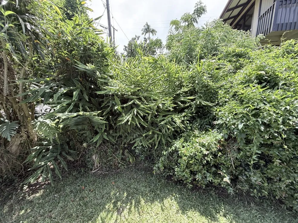 Professional landscape installation for homes in Hilo, HI by Hilo Helpers