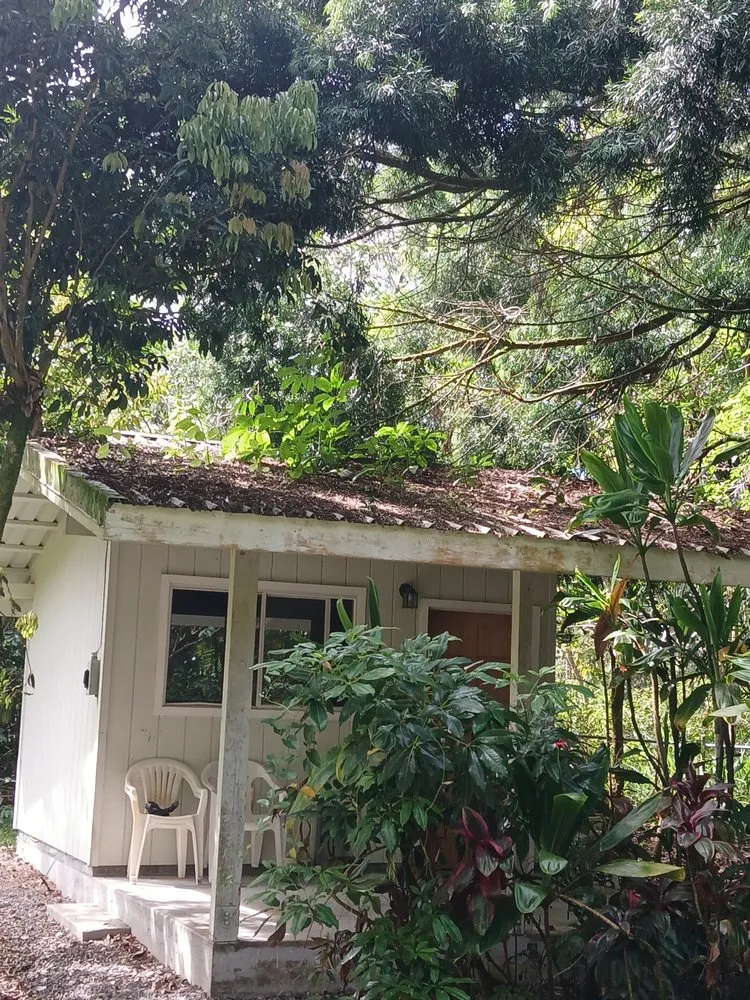 Reliable lawn care service in Hilo, HI - Hilo Helpers