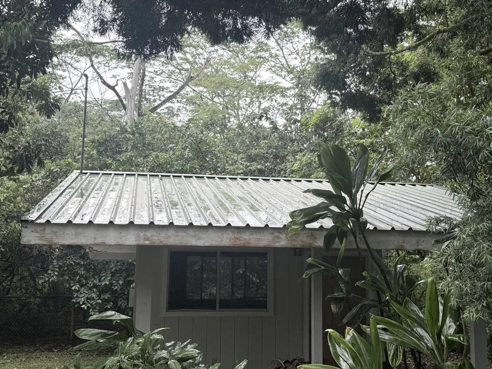 Local outdoor landscaping experts serving Hilo, HI - Hilo Helpers