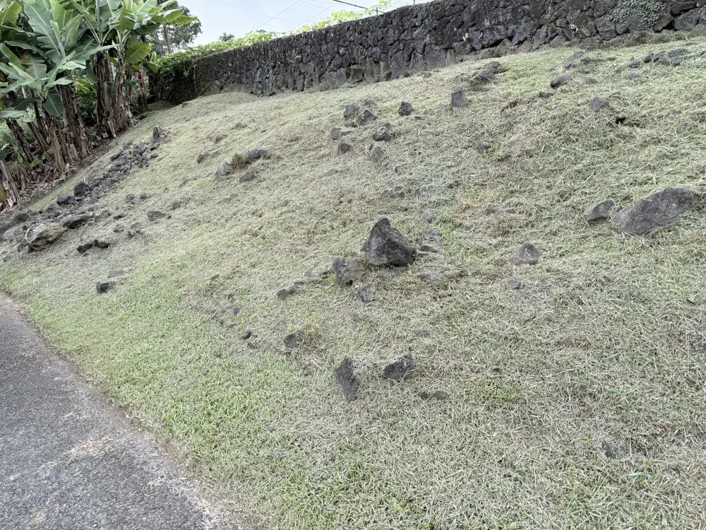 Custom landscaping services in Hilo, HI by Hilo Helpers