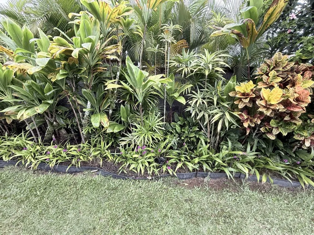 Expert landscape installation for homes in Hilo, HI by Hilo Helpers