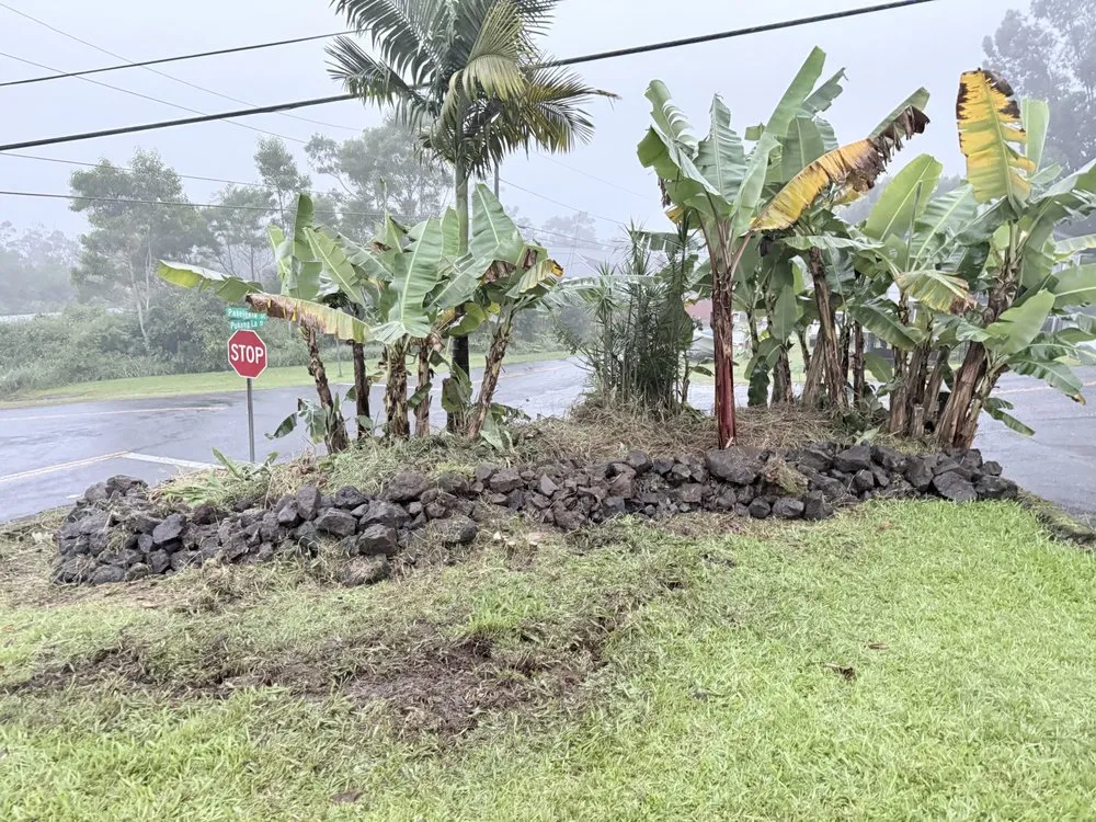 Affordable landscape installation for year-round maintenance in Hilo, HI by Hilo Helpers
