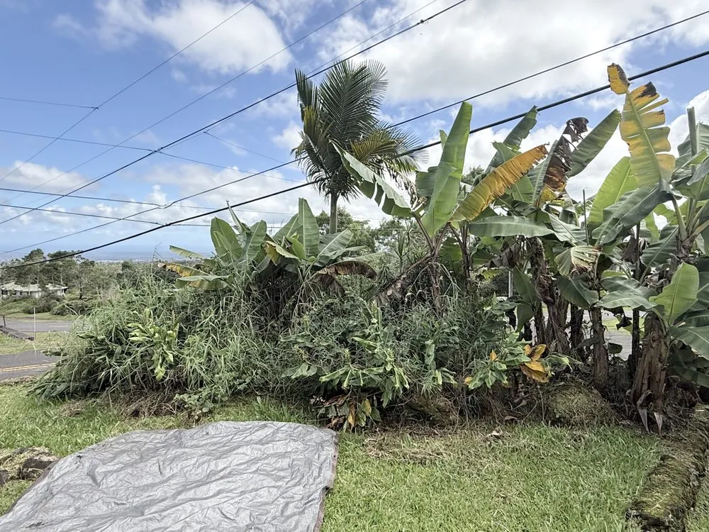 Affordable garden landscaping near you in Hilo, HI by Hilo Helpers