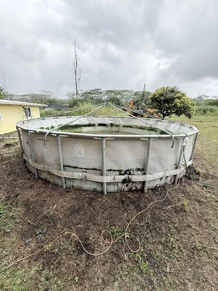 Trusted garden landscaping experts serving Hilo, HI - Hilo Helpers
