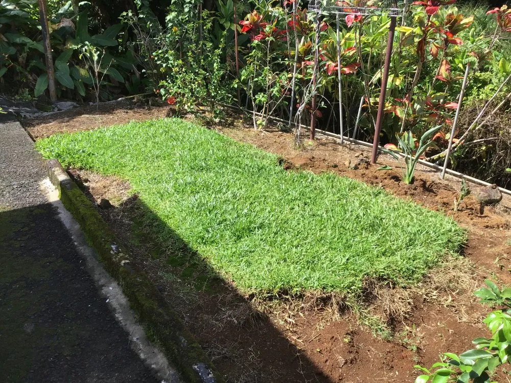 Expert landscaping services with custom design across Hilo, HI - Hilo Helpers
