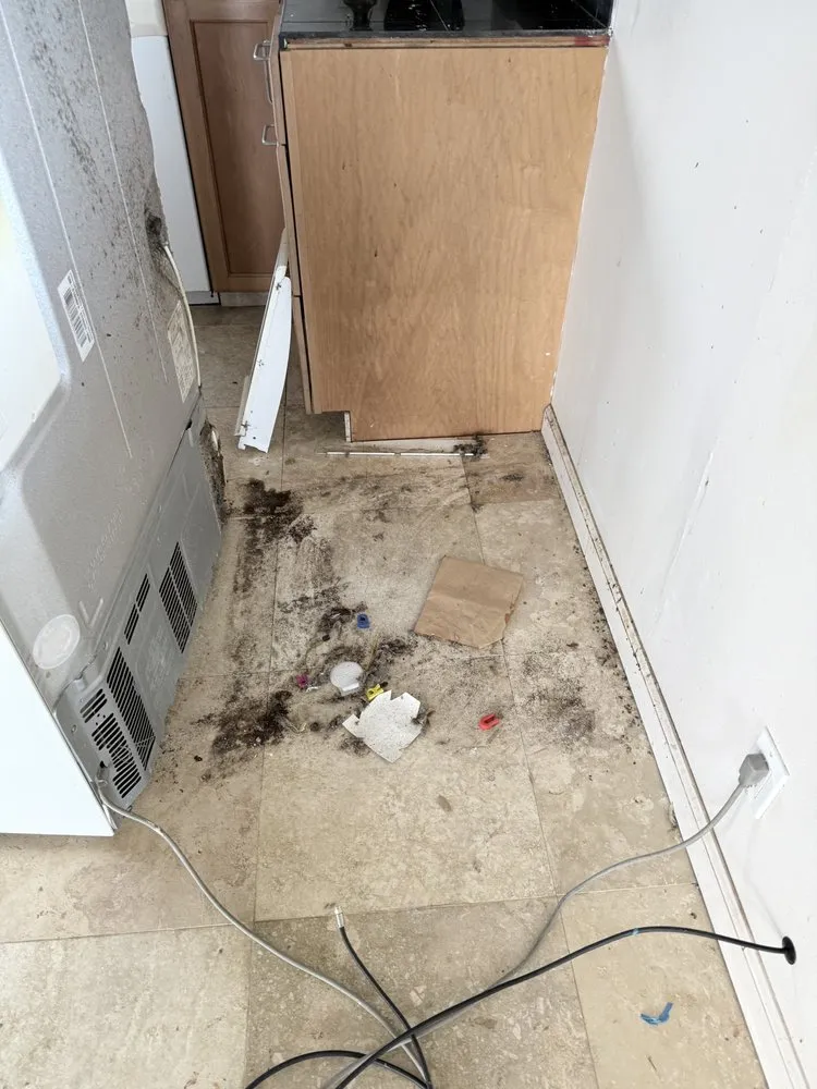 Local garden landscaping with custom design across Hilo, HI - Hilo Helpers