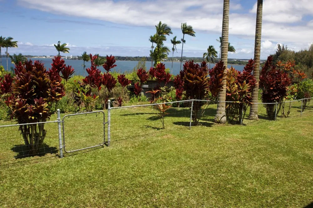 Professional landscaping services in Keaau, HI by Hilo Turf