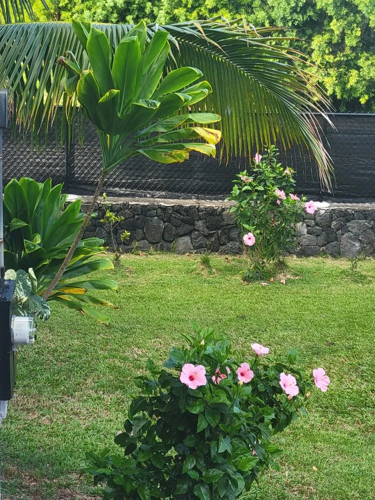 Reliable outdoor landscaping in Keaau, HI - Hilo Turf